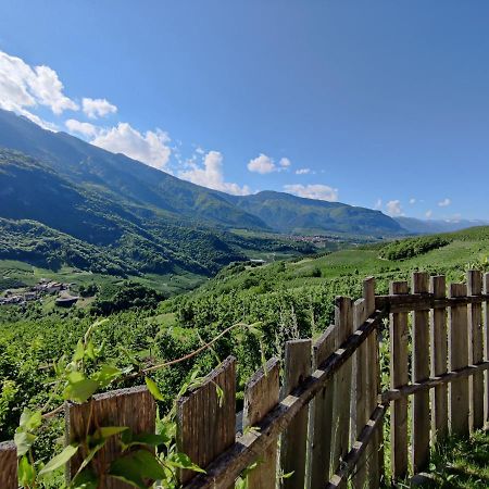 Bio Agritur Al Bait Villa Spormaggiore Luaran gambar